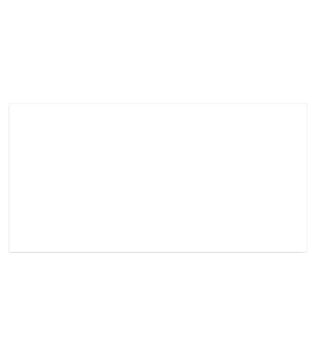 2 in. x 4 in. Rectangle Magnet