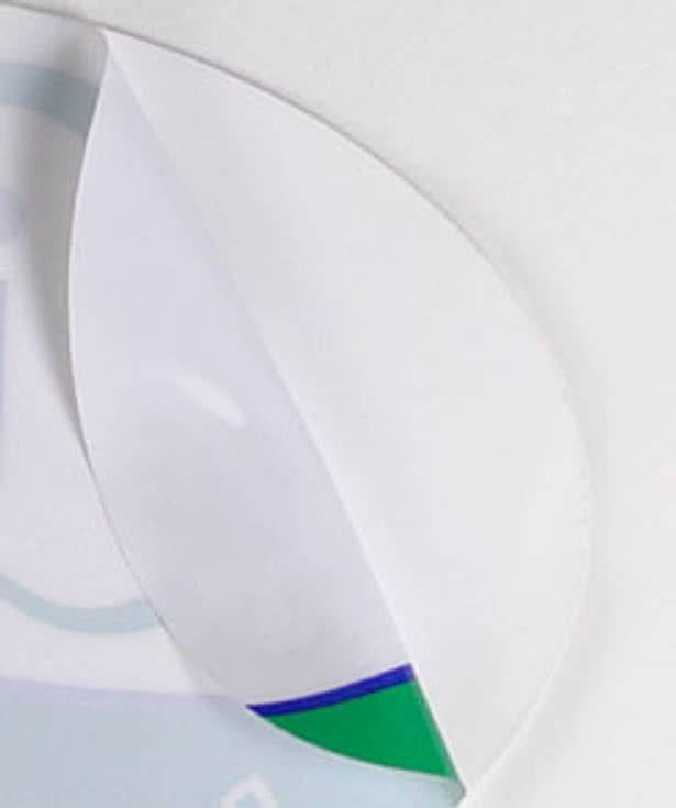 6 in. x 4 in. Oval Static Stick Window Cling