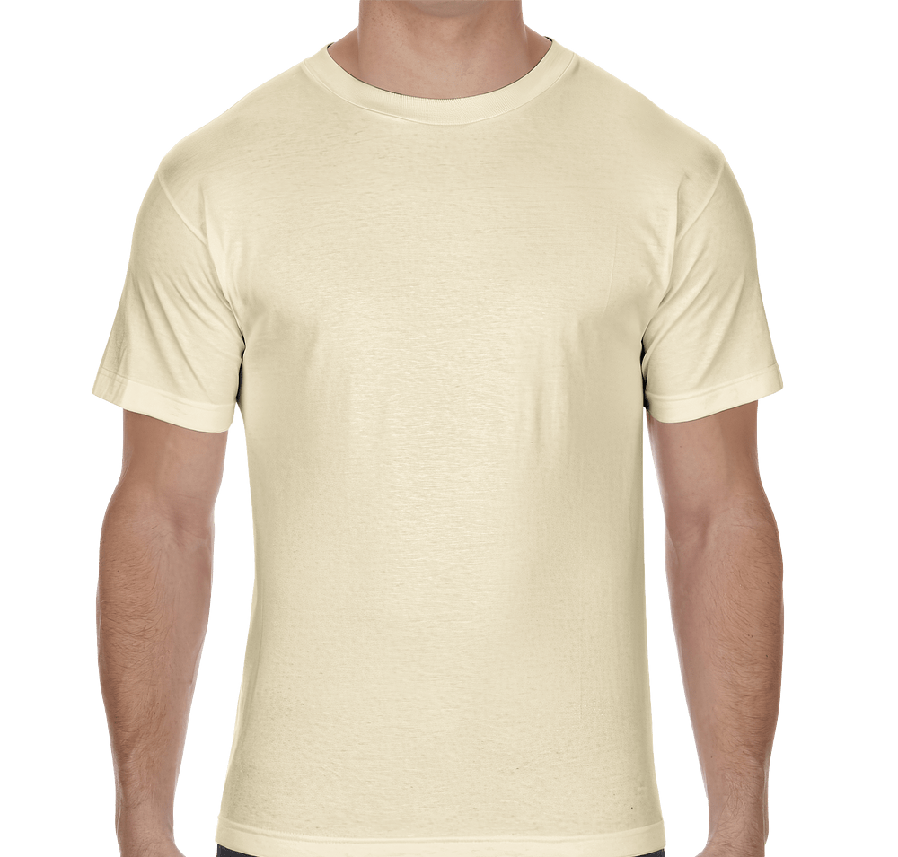 American Apparel Heavyweight Cotton T-shirt-default