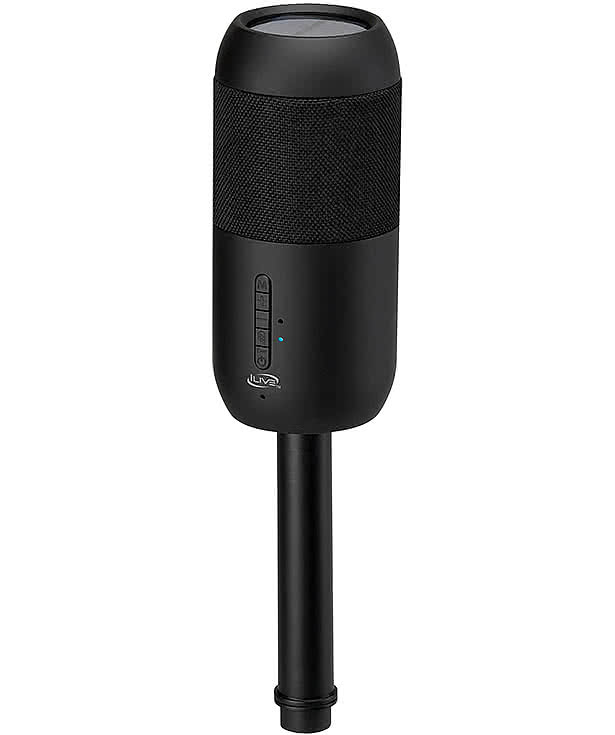 iLive Indoor and Outdoor Bluetooth Solar Speakers