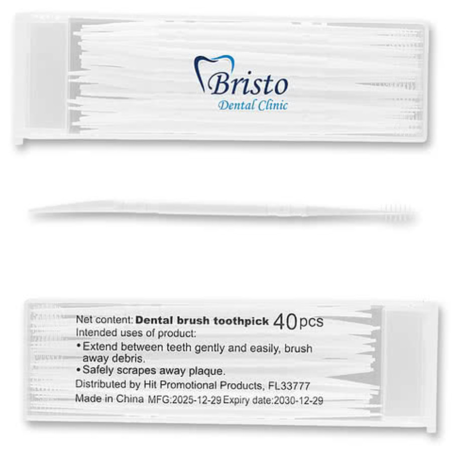 Dual-Action Dental Picks In Travel Case in CLEAR