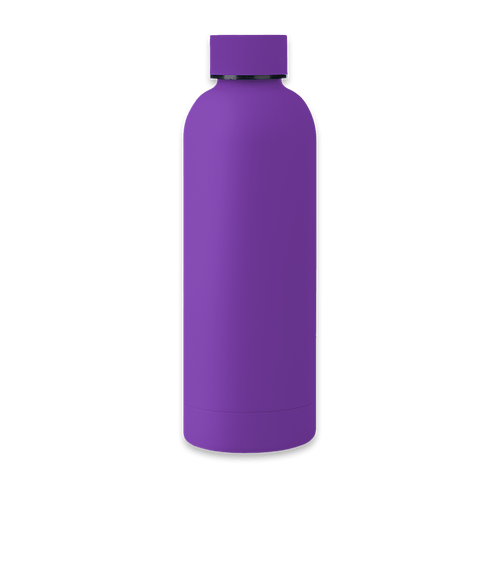 17 oz. Blair Stainless Steel Wide Mouth Water Bottle in Purple