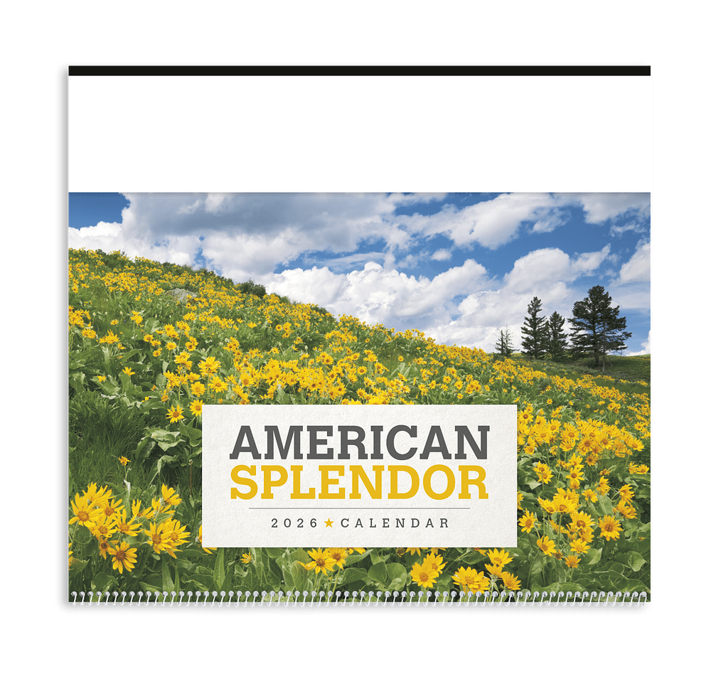 American Splendor Calendar-default