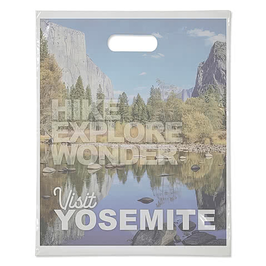 Full Color 15" Medium Plastic Handle Bag in Clear