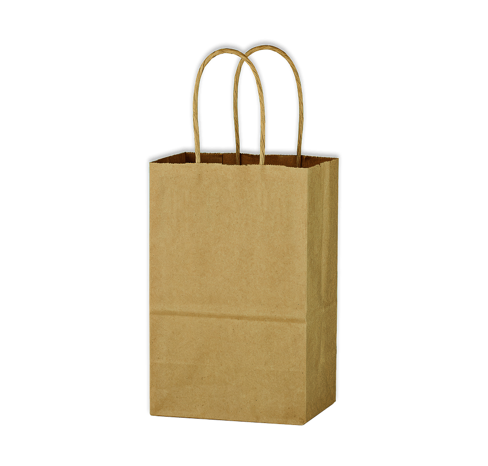 Small Kraft Paper Brown Shopping Bag-default