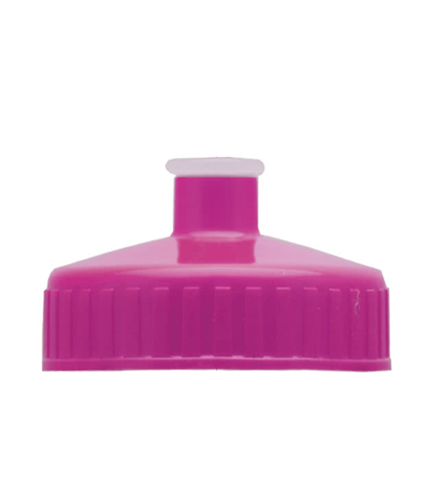 28 oz. Champ Transparent Sports Water Bottle