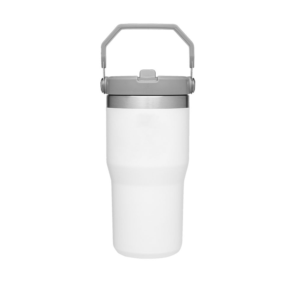 Stanley Full Color 20 oz. IceFlow 1.0 Flip Straw Tumbler-default