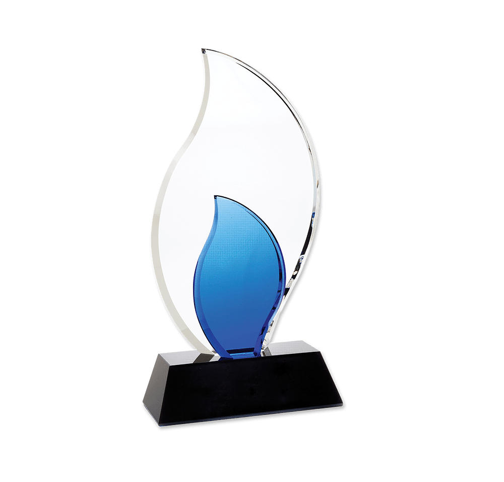 Laser Engraved Trailblazer Award-default