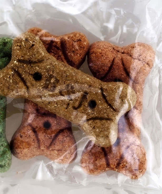 Full Color Assorted Dog Bone Treat Set