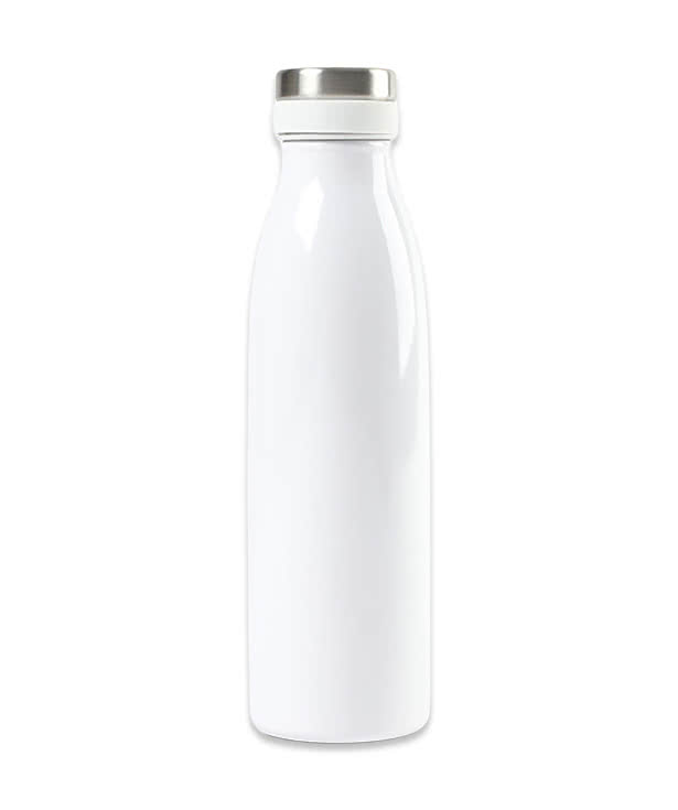 17 oz. Aviana Palmer Double Wall Stainless Water Bottle