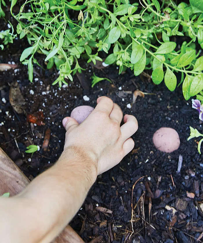Modern Sprout Encouragement Seed Bomb