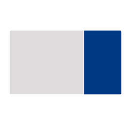 2" x 3.5" Horizontal Clear Plastic Business Cards - Color: Clear / Royal