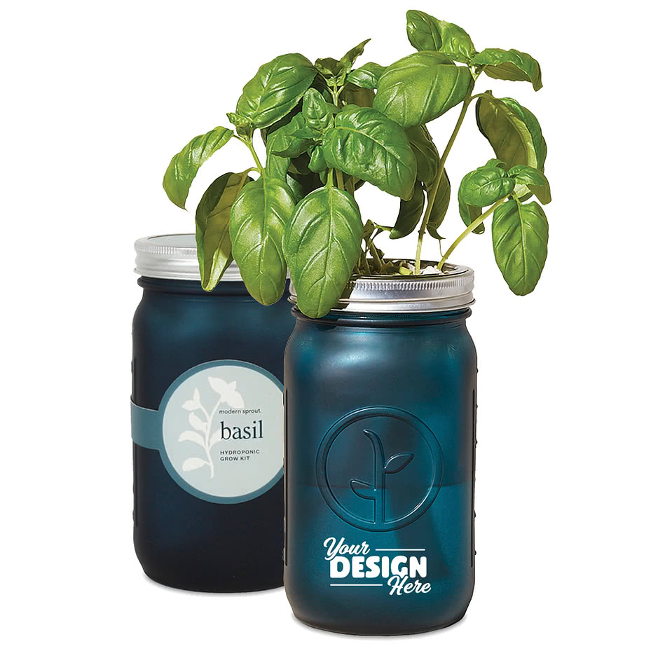Modern Sprout Indoor Herb Garden Kit
