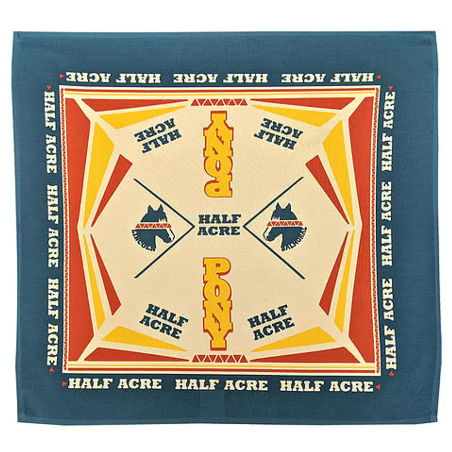 Full Color Classic Bandana in White