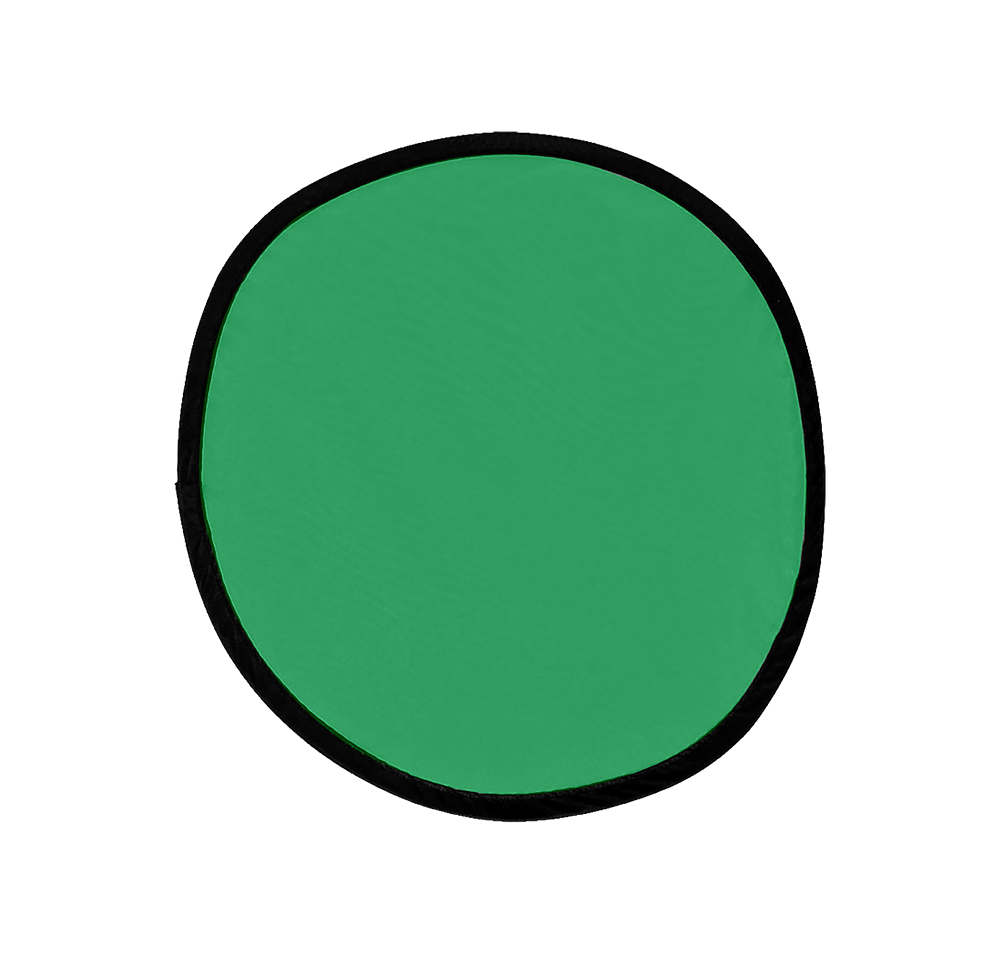 Flying Disk with Matching Pouch-default
