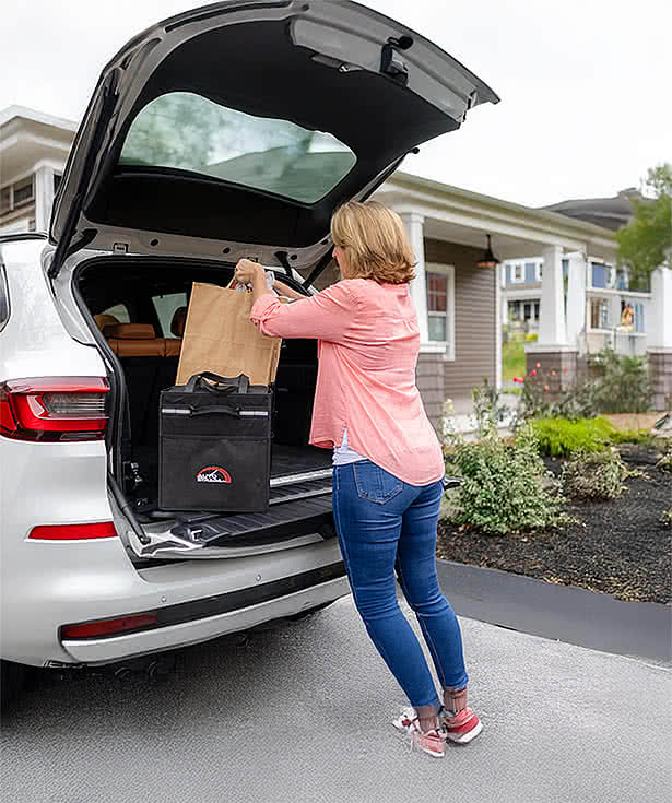 Structure Cargo Recycled Trunk Organizer with Cooler