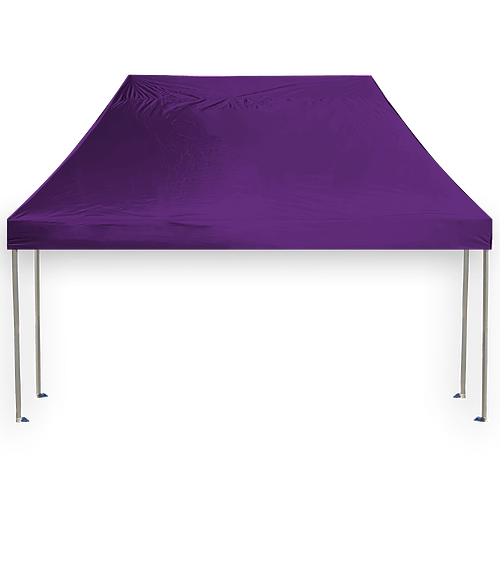 Full Color 20' Premium Canopy Tent in Team Purple