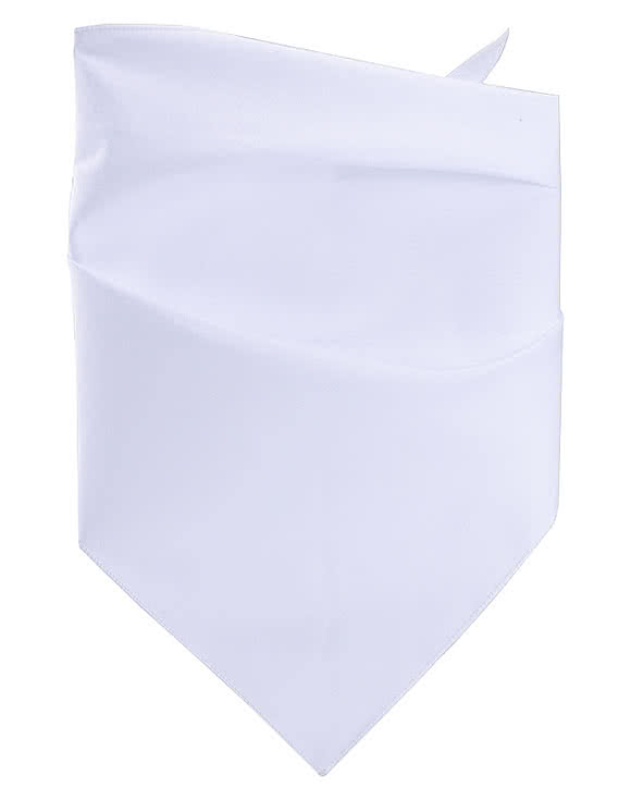 Dye-Sublimated Pet Bandana