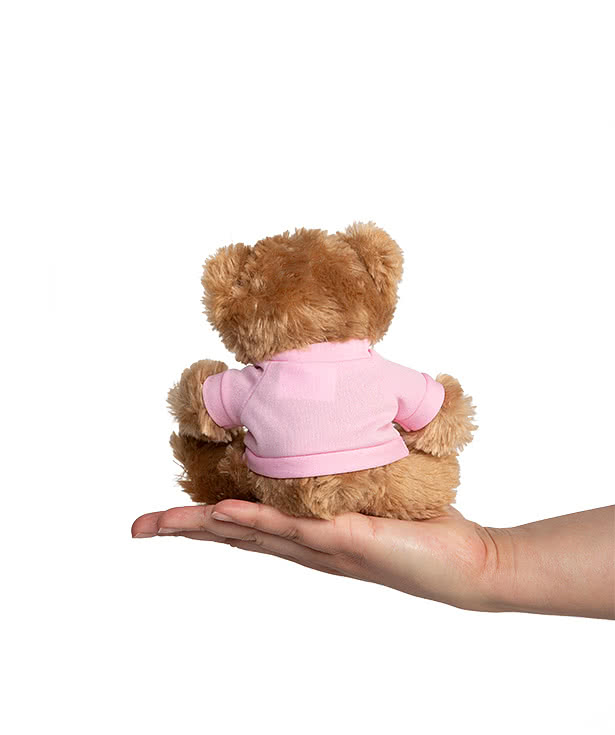 6" Big Paw Brown Bear