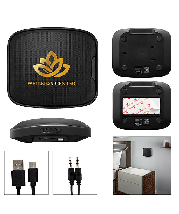 Next Level Wireless Wall Speaker