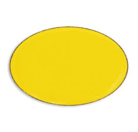 Oval Lapel Pin - Color: Yellow / Brass