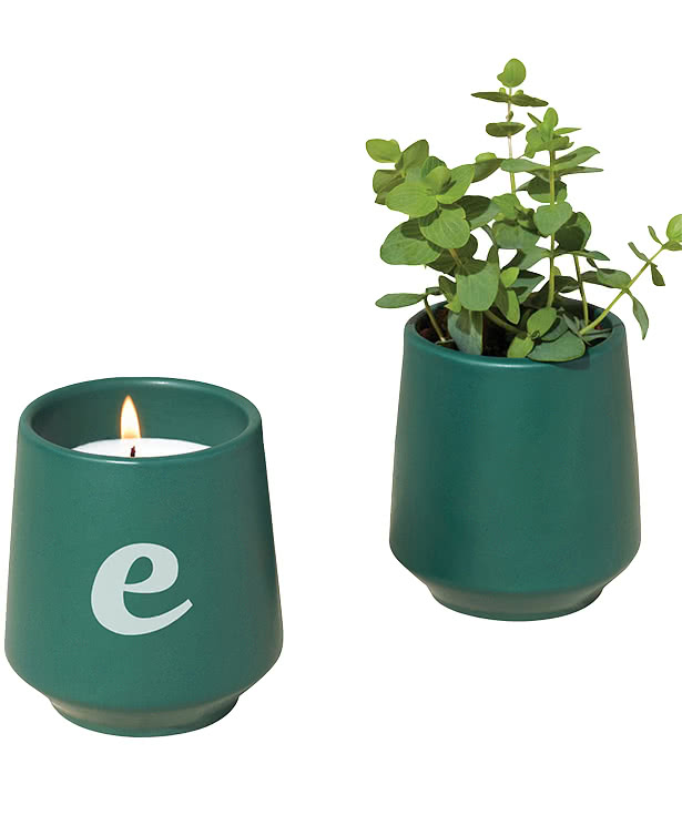 Modern Sprout Rooted Candle Herb Grow Kit