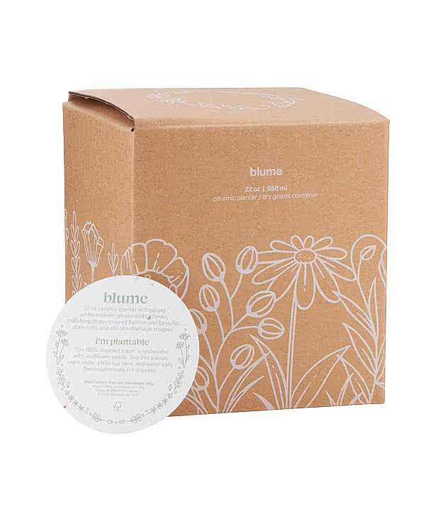 Blume Ceramic Planter with Wildflower Seed Paper
