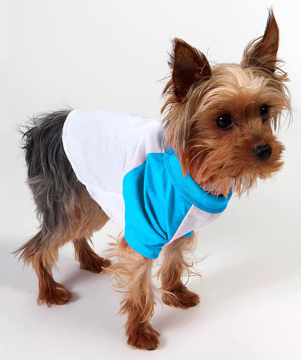 American Apparel Dog Raglan T-shirt