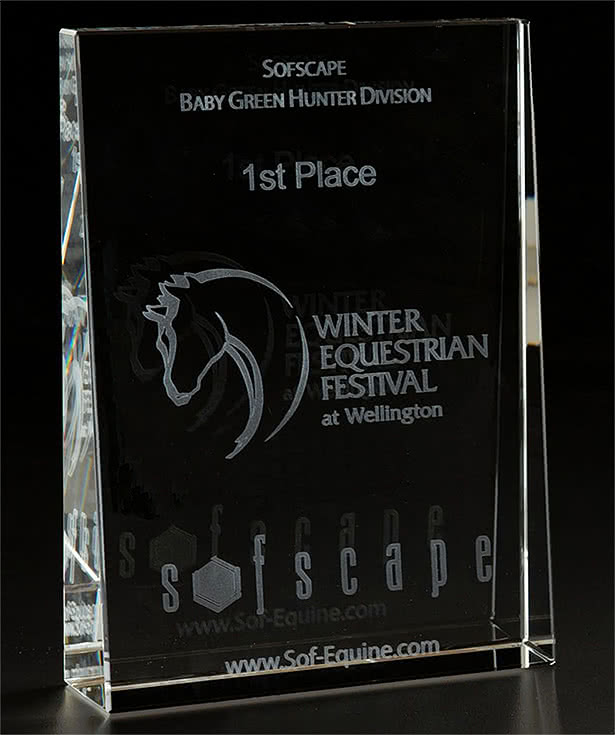 3D  Wedge Large Award