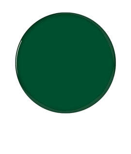 Full Color 1" Round Laminated Plastic Lapel Pin - Color: Forest Green
