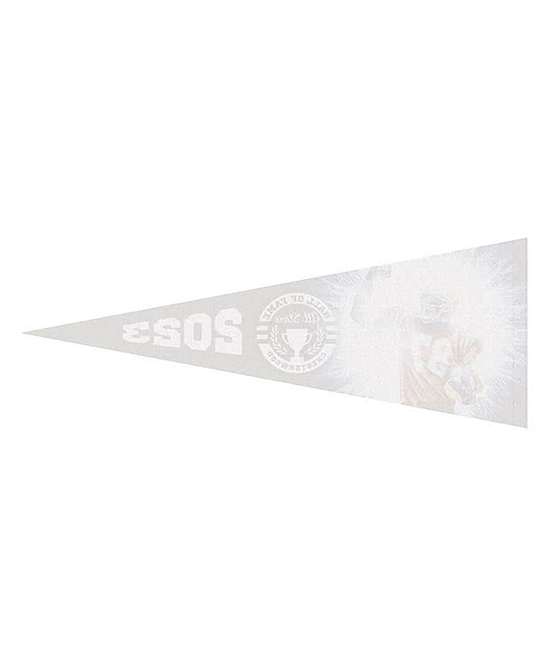 Full Color 9" x 24" Soft Felt Pennant