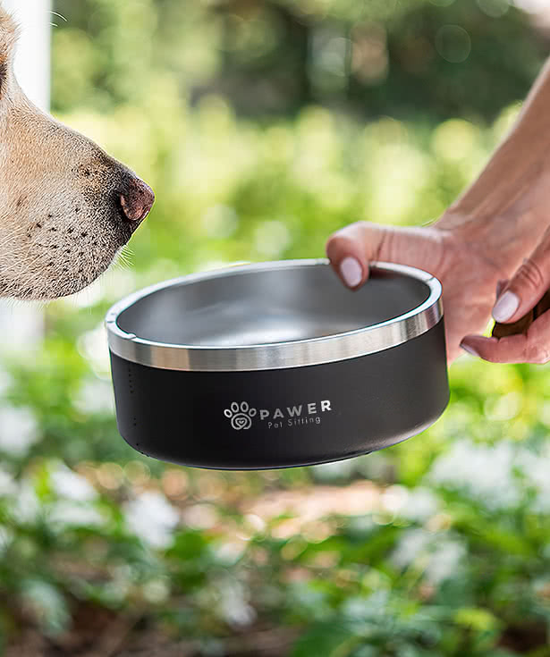 Laser Engraved 40 oz. Stainless Steel Pet Bowl