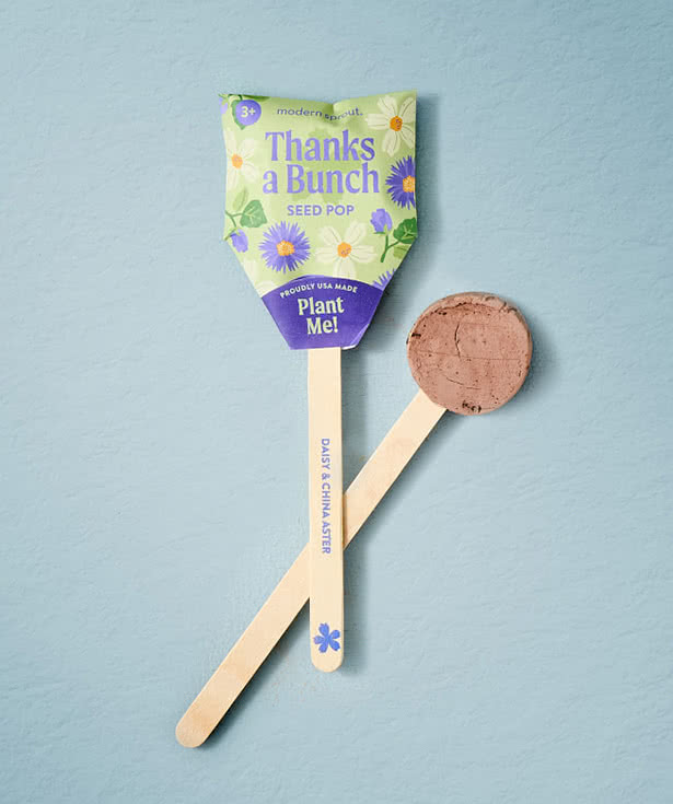 Modern Sprout Flower Seed Pop