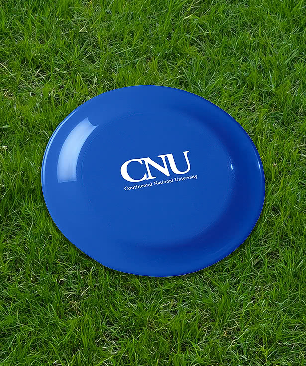 Small Fun Flying Disc