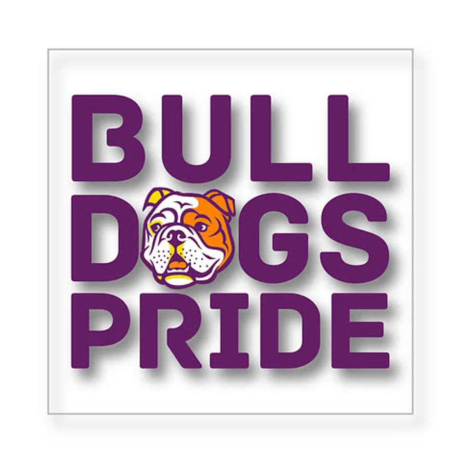Full Color 3 in. Clear Square Sticker in Clear