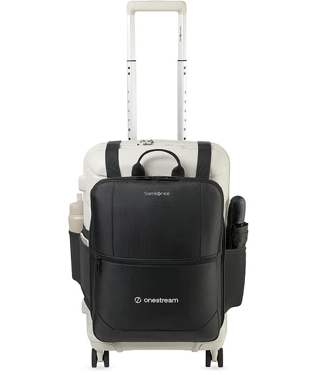 Samsonite Convertible Luggage Cover and 16" Computer Backpack