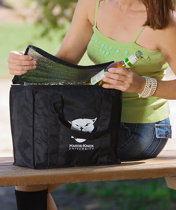 Picnic Recycled 24 Can Cooler Bag