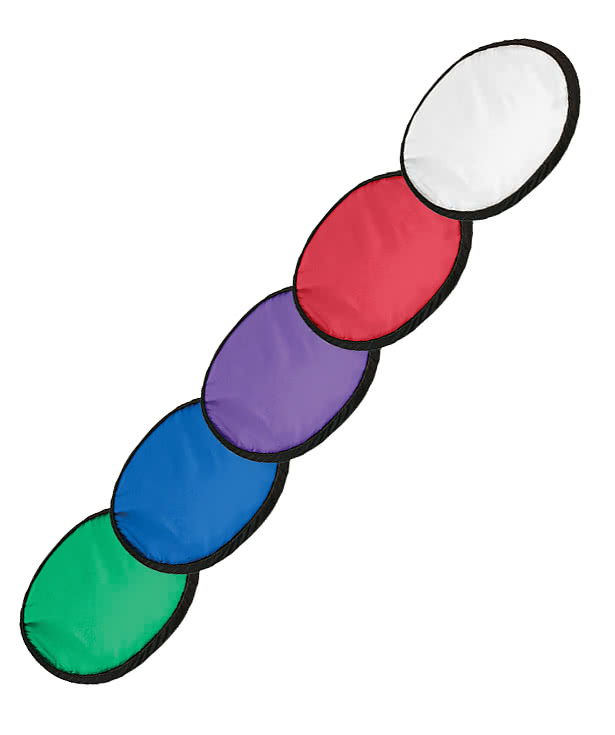 Flying Disk with Matching Pouch