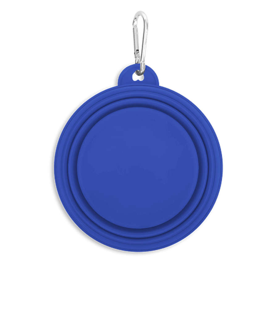 Collapsible Travel Silicone Pet Bowl in Royal Blue