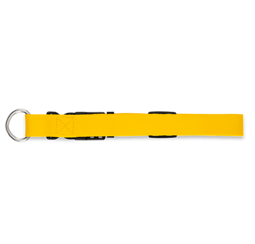 Full Color Adjustable Pet Collar, 1" Wide in Athletic Gold