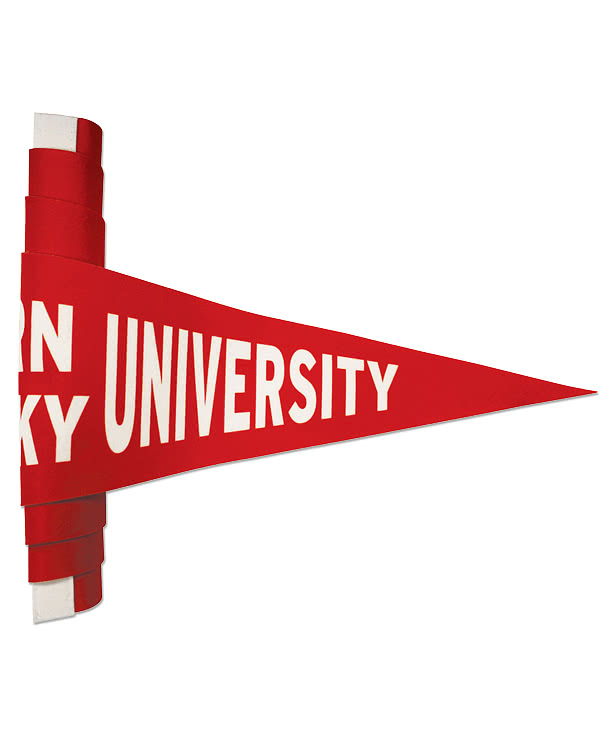 Full Color 8" x 18" Soft Felt Pennant