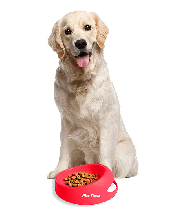 10 oz. Scoop-It Pet Food Bowl
