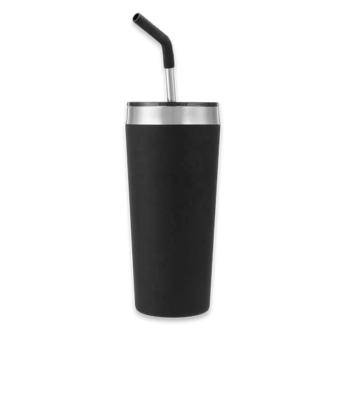 20 oz. Faye Stainless Steel Vacuum Insulated Tumbler with Straw in Black