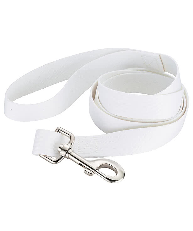 Full Color 5 ft. Premium Pet Leash, 1" Wide