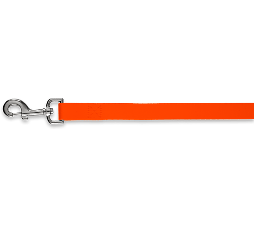 Full Color 5 ft. Premium Pet Leash, 1" Wide in Orange