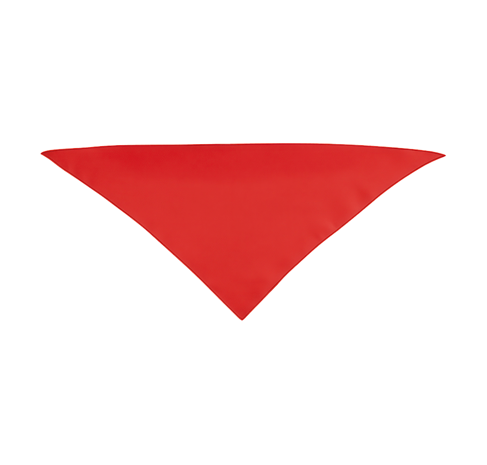 Small Triangle Recycled Pet Bandana-default