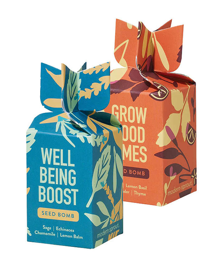 Modern Sprout Encouragement Seed Bomb