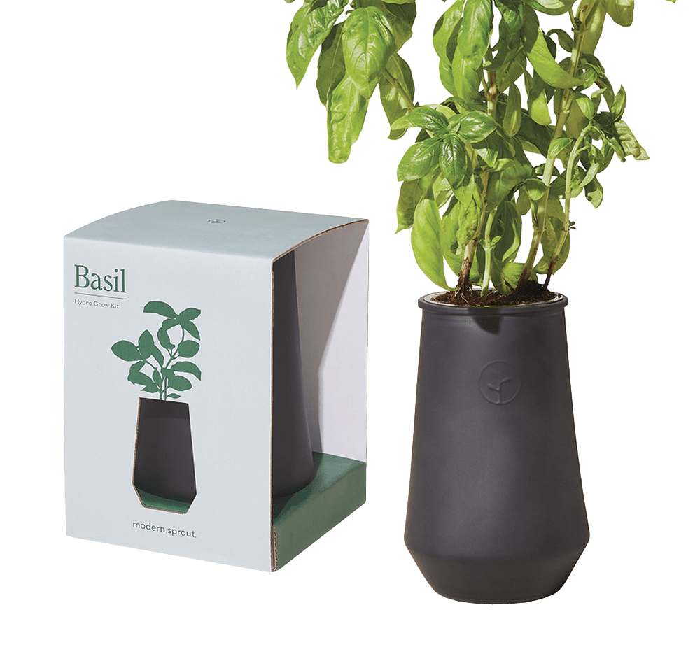 Modern Sprout Tapered Tumbler Grow Kit-default