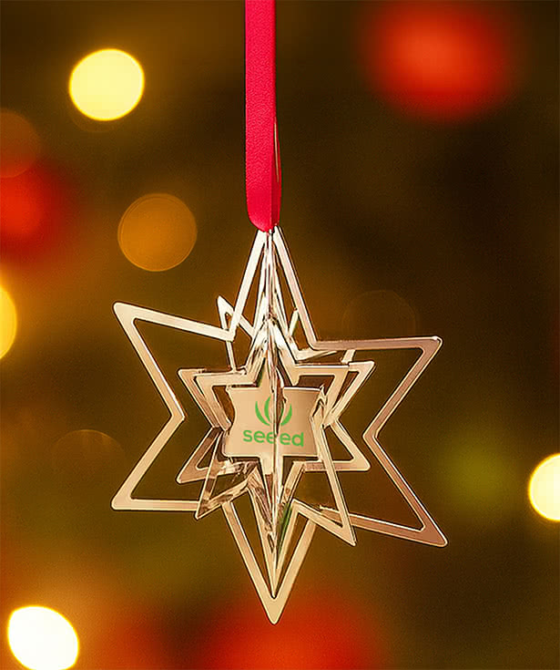 Star Pop Out Ornament