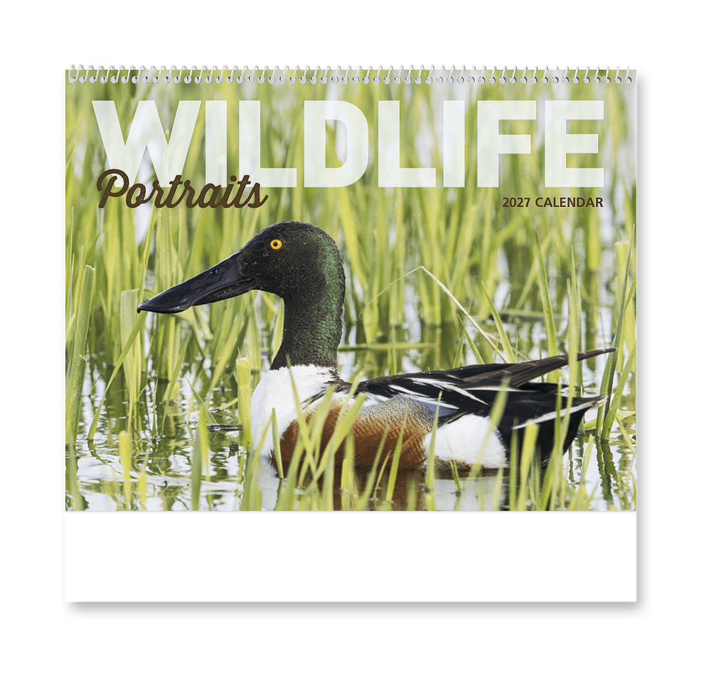 Wildlife Portraits Spiral Monthly Calendar-default